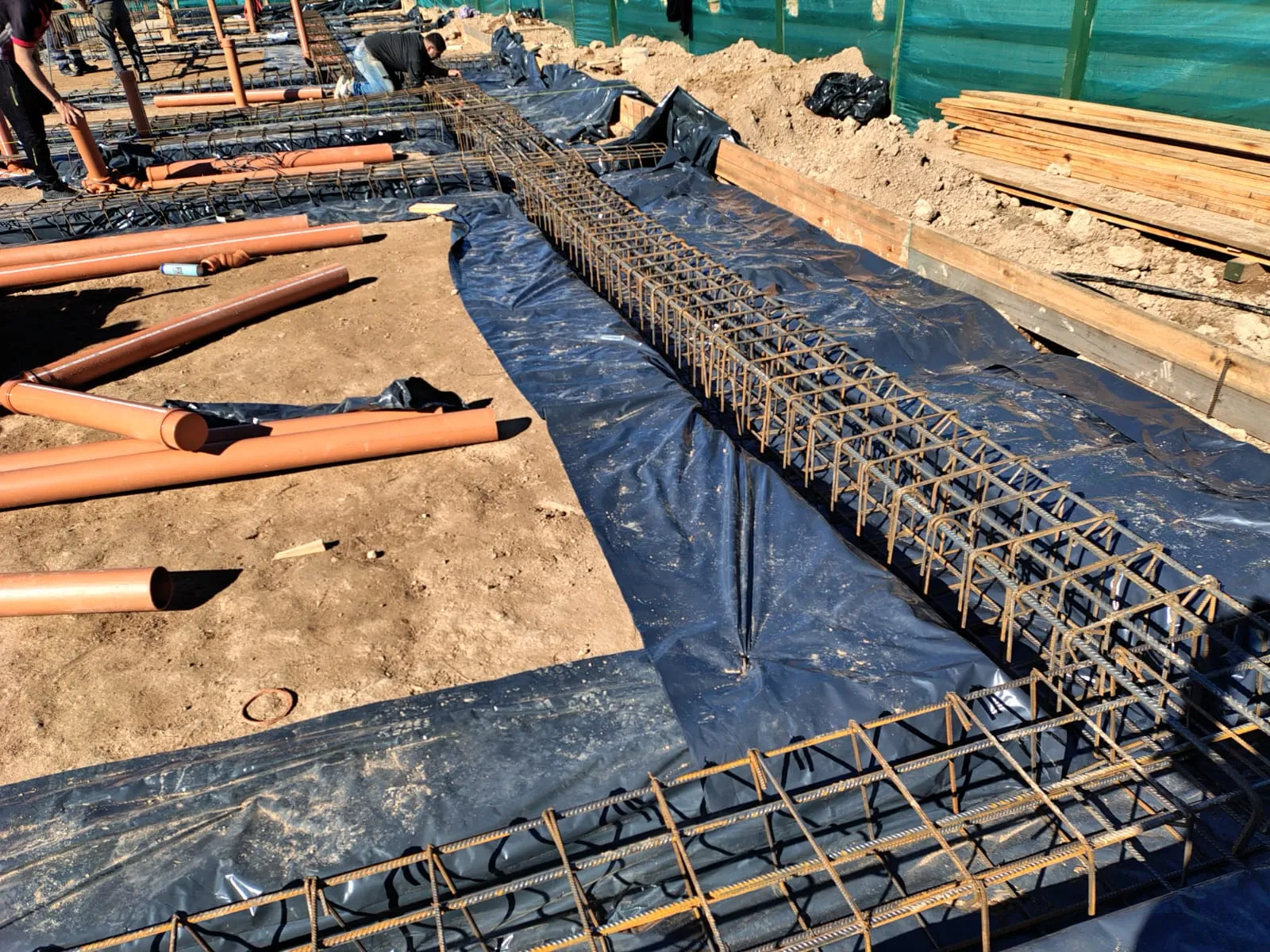 Proyecto Amarras — imagen 6